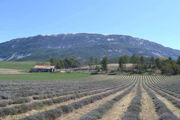 Saint André les Alpes