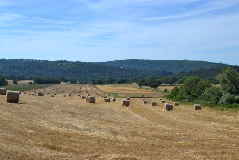 Saint Laurent du Verdon